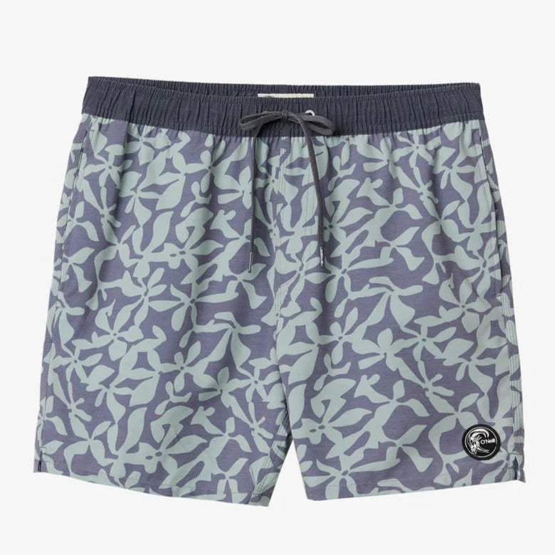 surfboards with maximum stability-O'Neill OG Volley Shorts 16" - Purple Seagrass