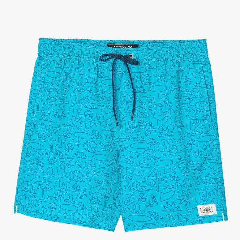 surfboards for handling choppy water-O'Neill Hermosa Print Volley Shorts 17" - Bluebird